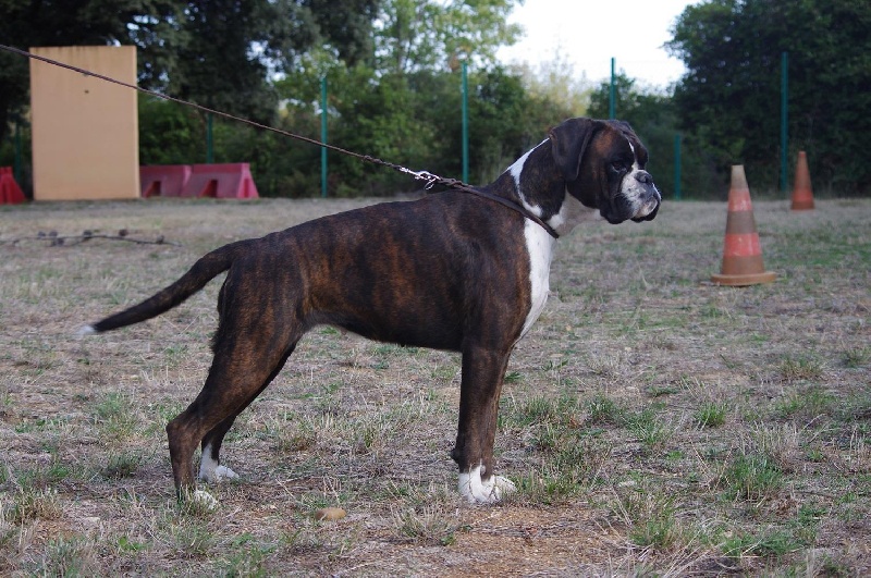 Geizy du royaume de sky